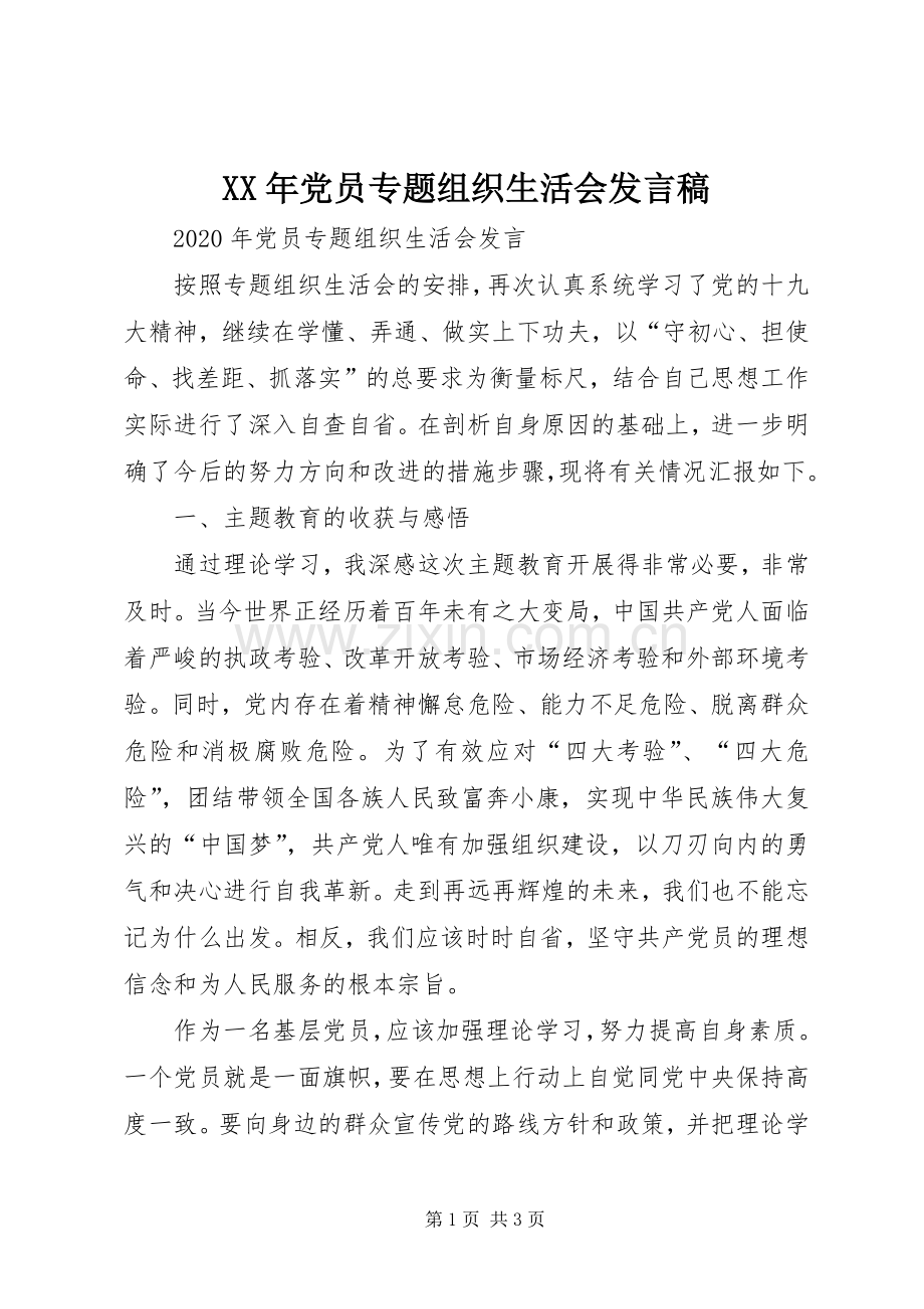 XX年党员专题组织生活会发言.docx_第1页