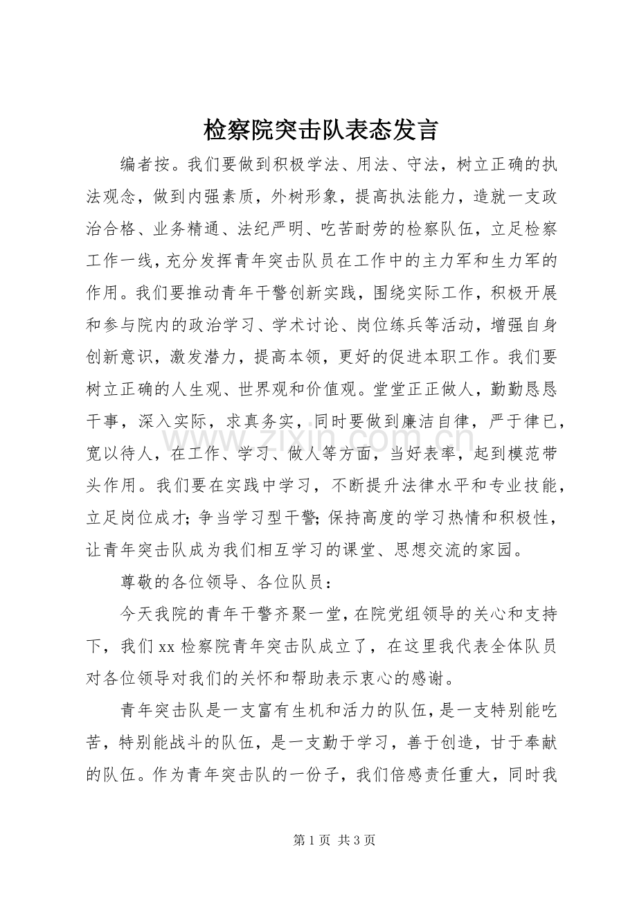 检察院突击队表态发言稿.docx_第1页