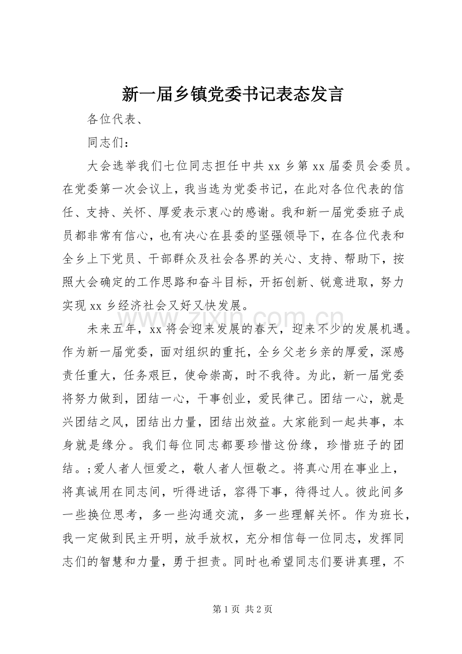 新一届乡镇党委书记表态发言稿 (2).docx_第1页