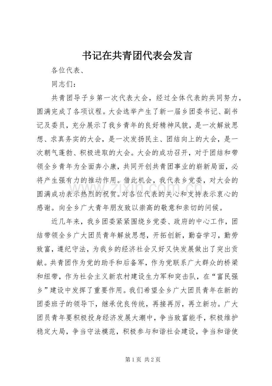 书记在共青团代表会发言稿.docx_第1页