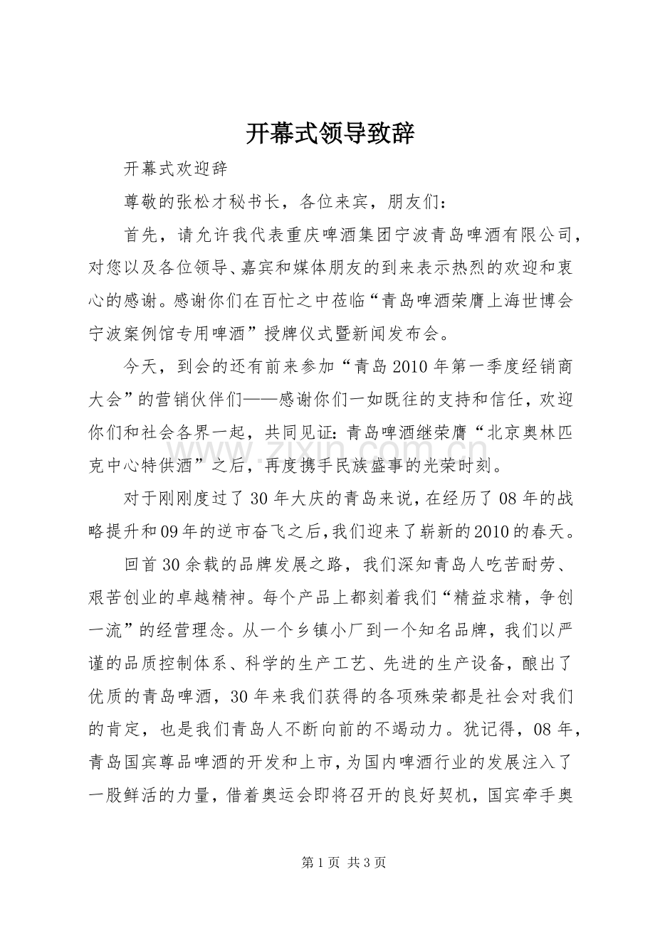 开幕式领导演讲致辞.docx_第1页