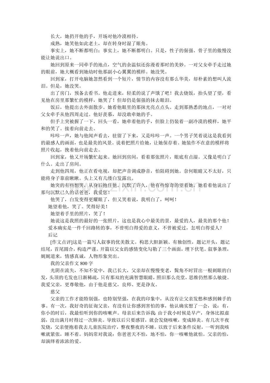 关于父爱的作文题目.doc_第3页