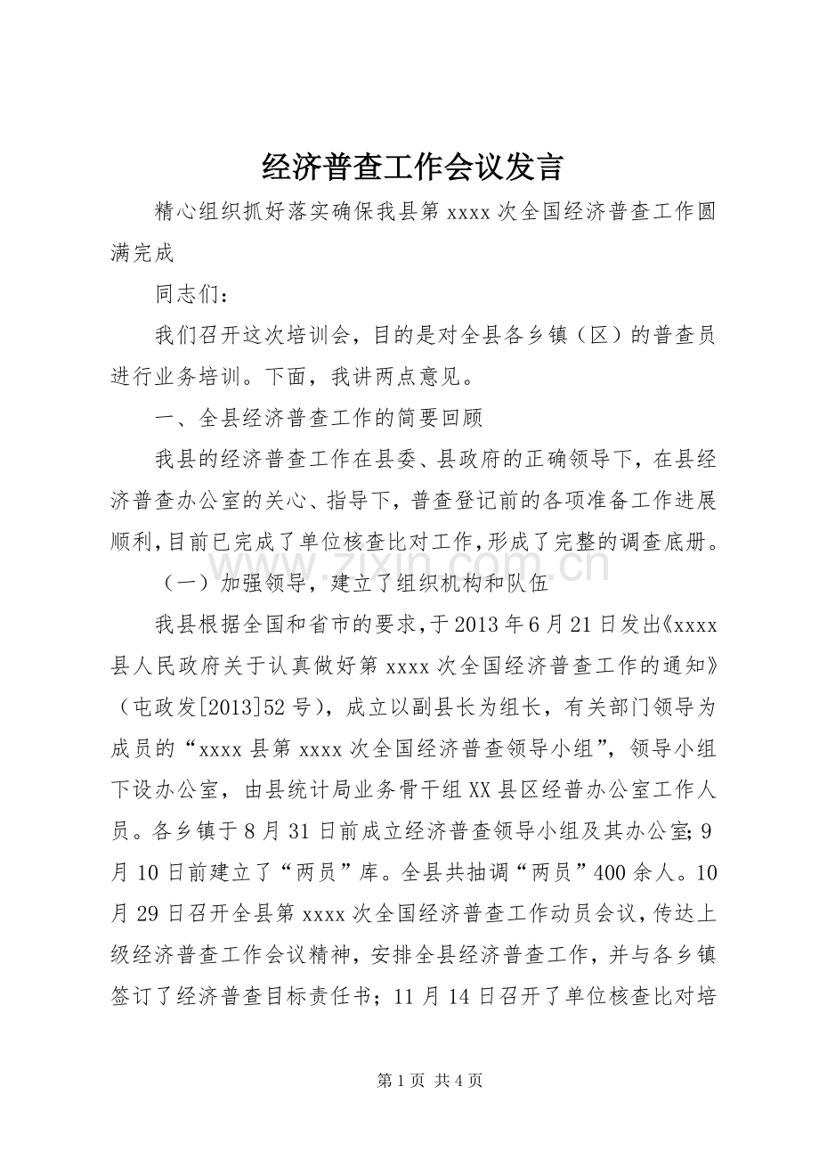 经济普查工作会议发言稿.docx_第1页