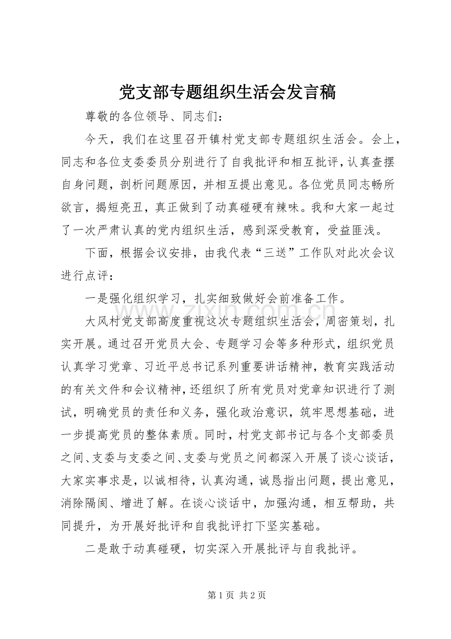 党支部专题组织生活会发言 (2).docx_第1页