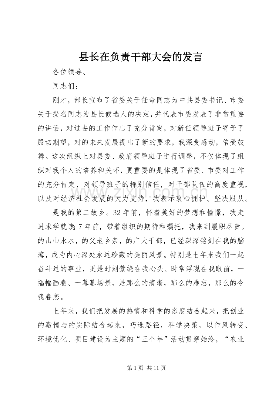 县长在负责干部大会的发言稿.docx_第1页