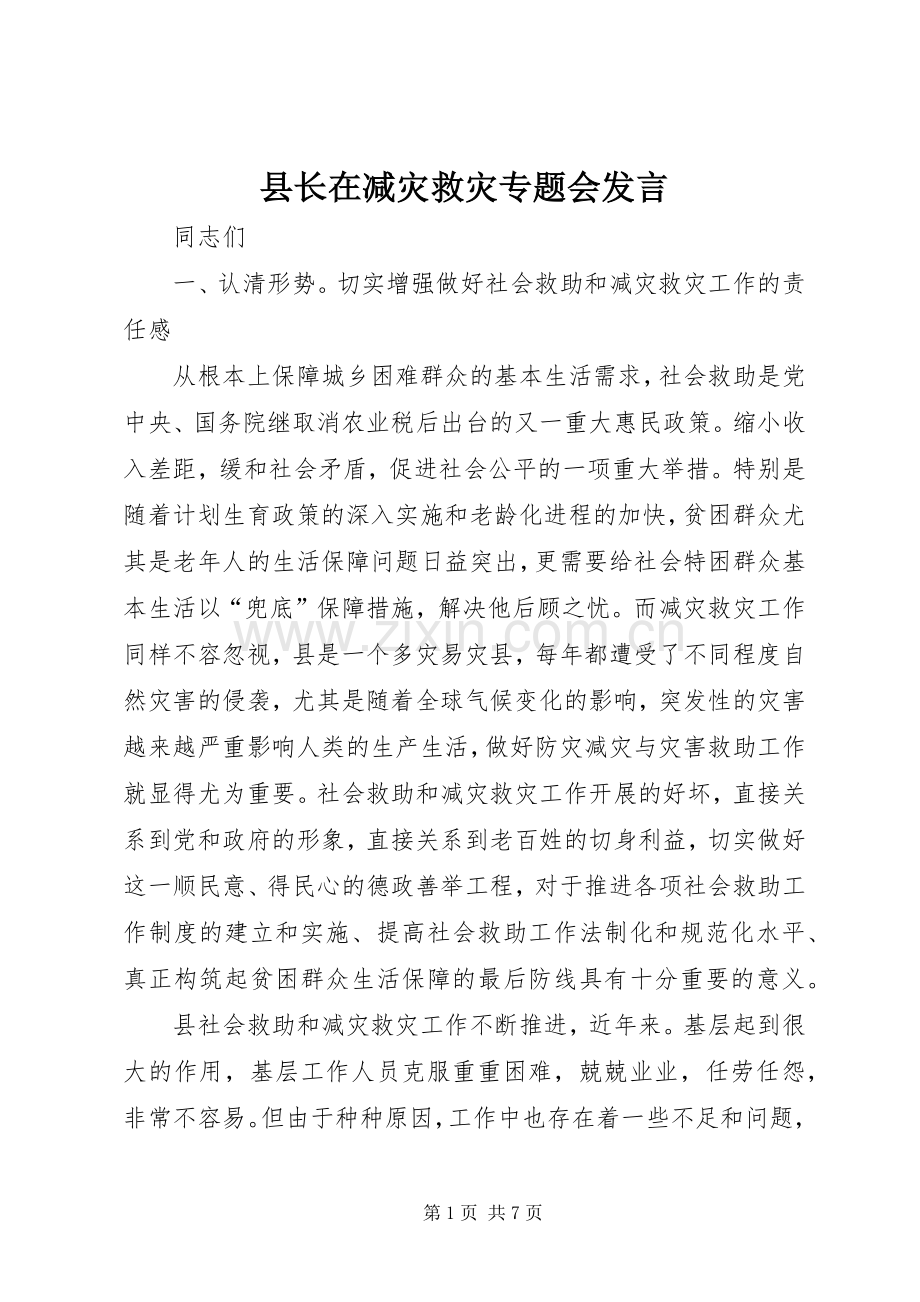 县长在减灾救灾专题会发言稿.docx_第1页