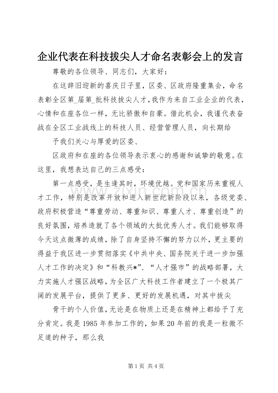 企业代表在科技拔尖人才命名表彰会上的发言稿 (2).docx_第1页