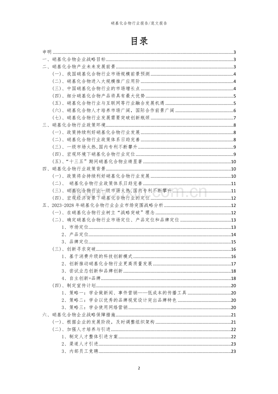 2023年硝基化合物行业市场突围建议及需求分析报告.docx_第2页