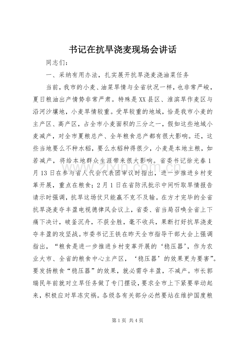 书记在抗旱浇麦现场会讲话.docx_第1页