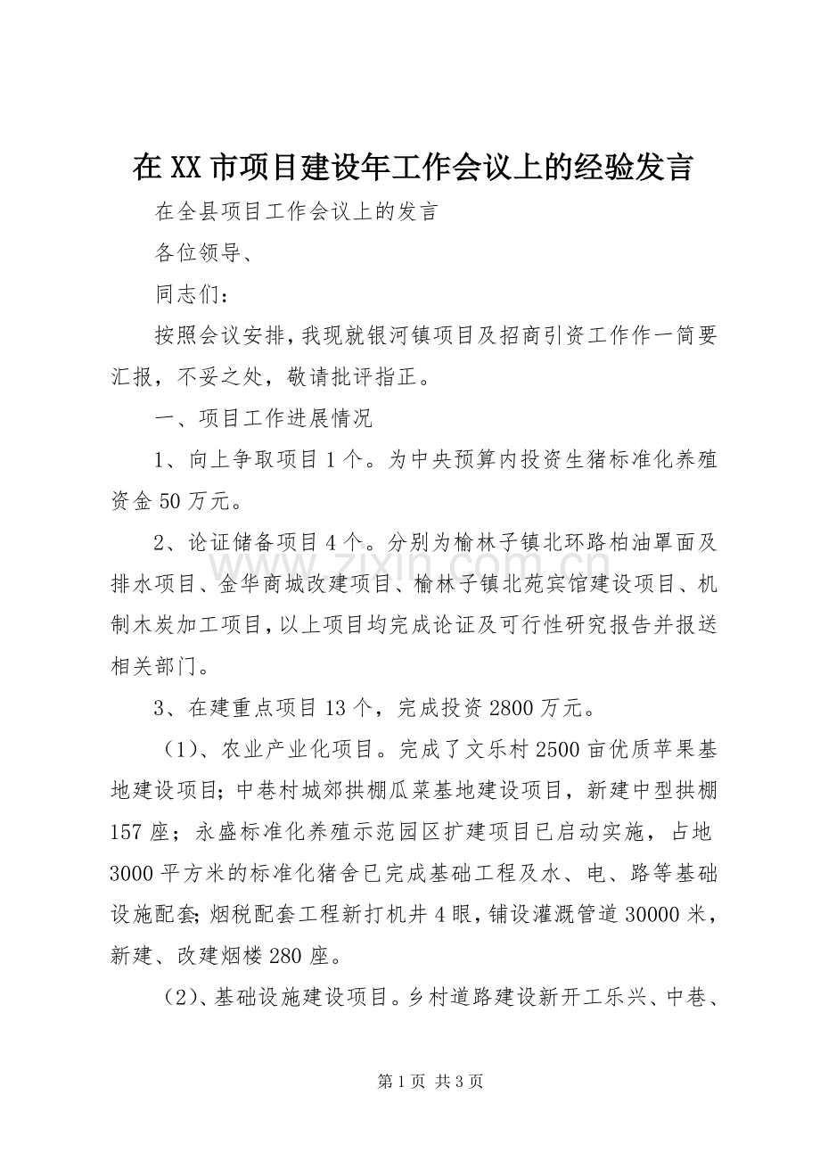 在XX市项目建设年工作会议上的经验发言稿 (2).docx_第1页