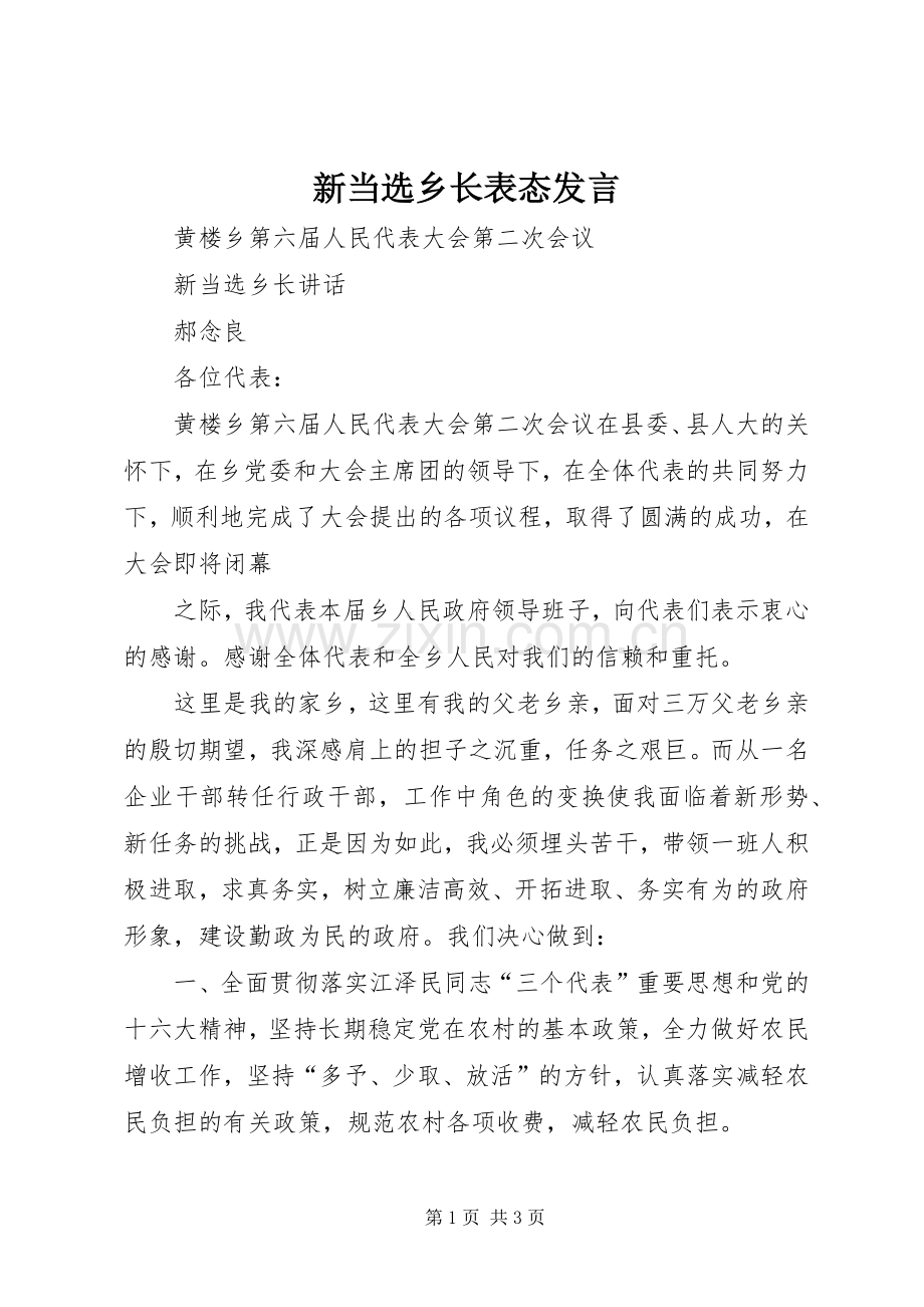 新当选乡长表态发言材料.docx_第1页