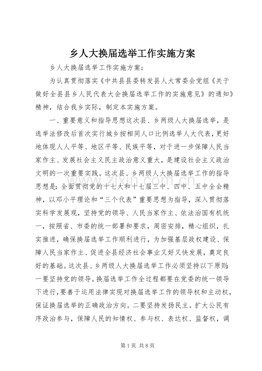 乡人大换届选举工作方案 .docx_第1页