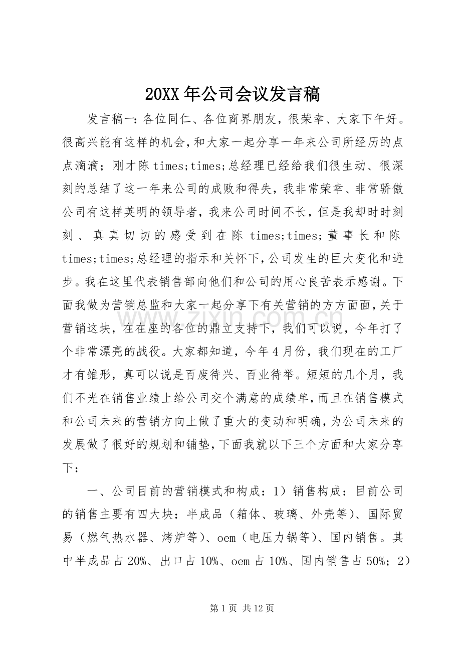 20XX年公司会议发言.docx_第1页