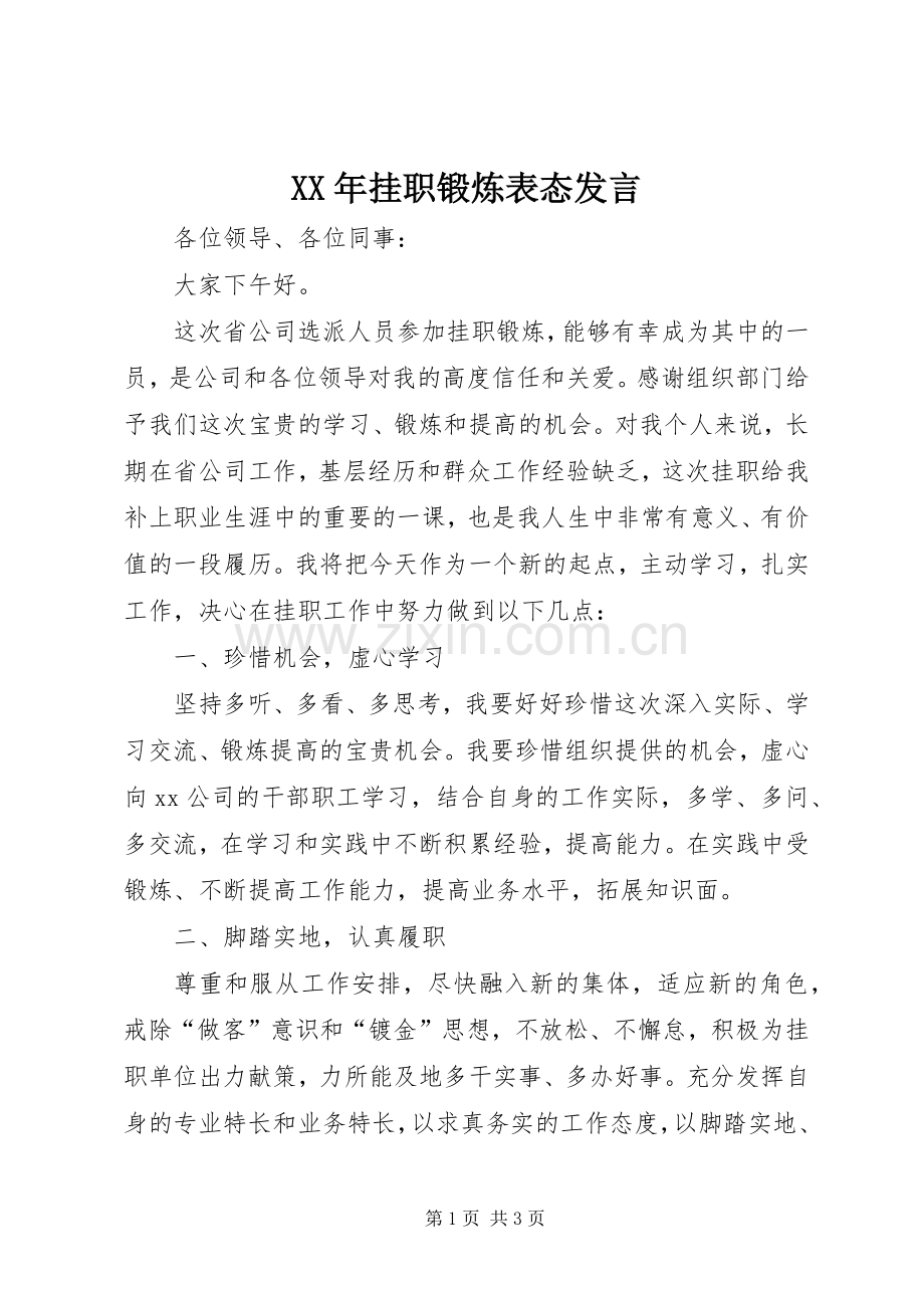 XX年挂职锻炼表态发言稿.docx_第1页