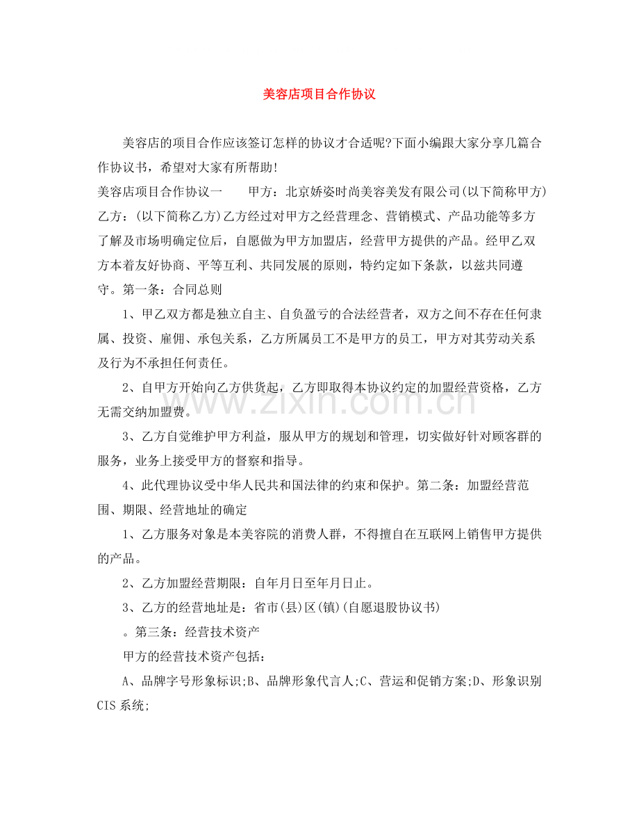 美容店项目合作协议.docx_第1页