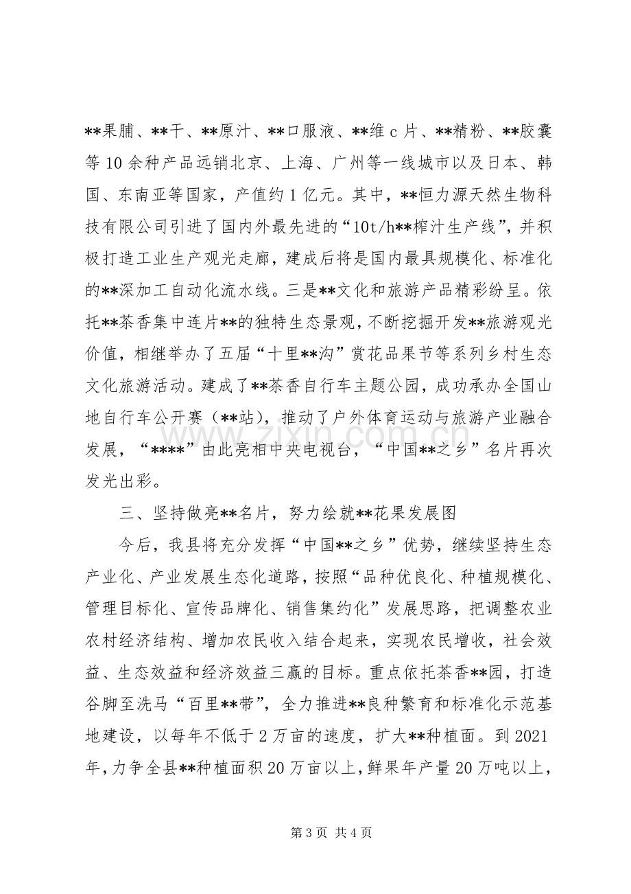 县领导产业发展专题会发言材料提纲.docx_第3页