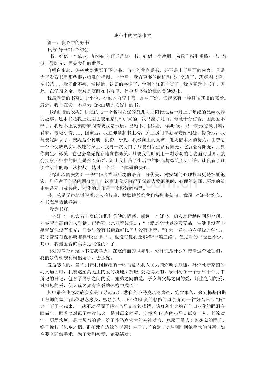 我心中的文学作文.doc_第1页