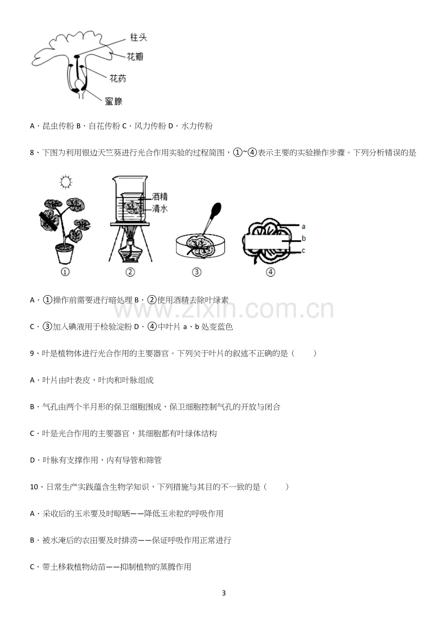 通用版初中生物七年级上册第三单元生物圈中的绿色植物重点知识点大全.docx_第3页