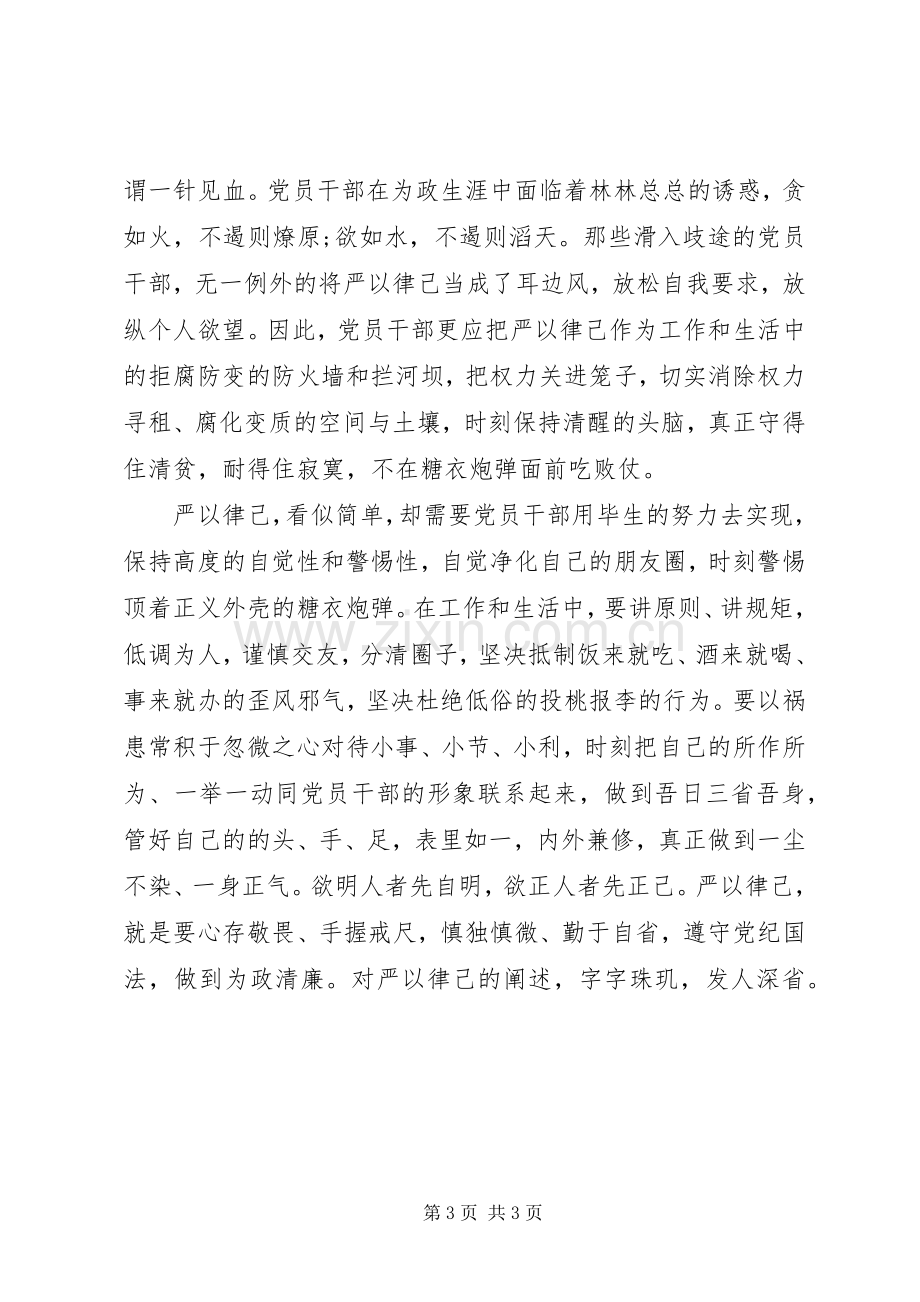 严以律己研讨交流发言.docx_第3页