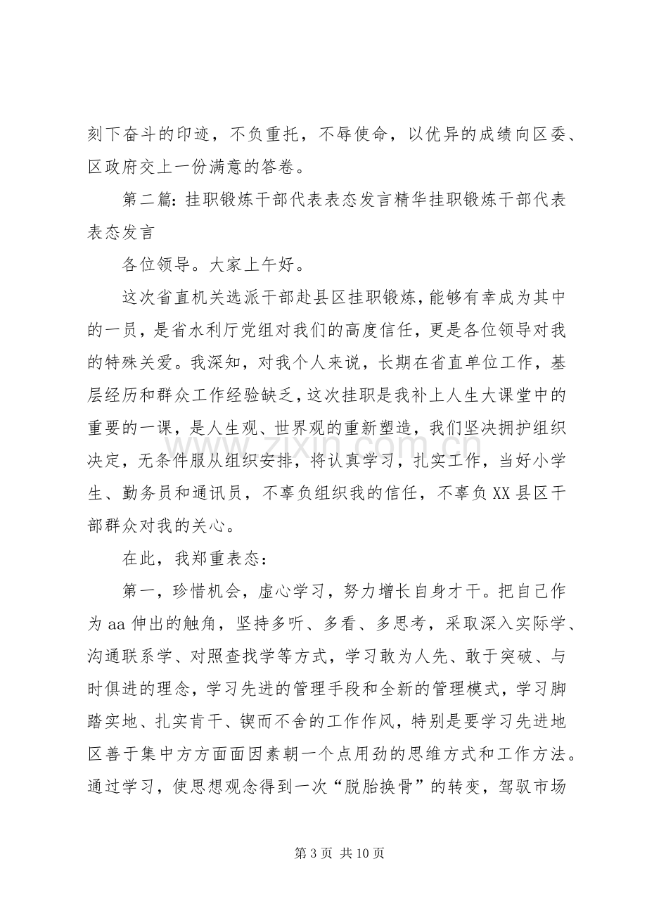 挂职锻炼干部代表表态发言稿精华.docx_第3页