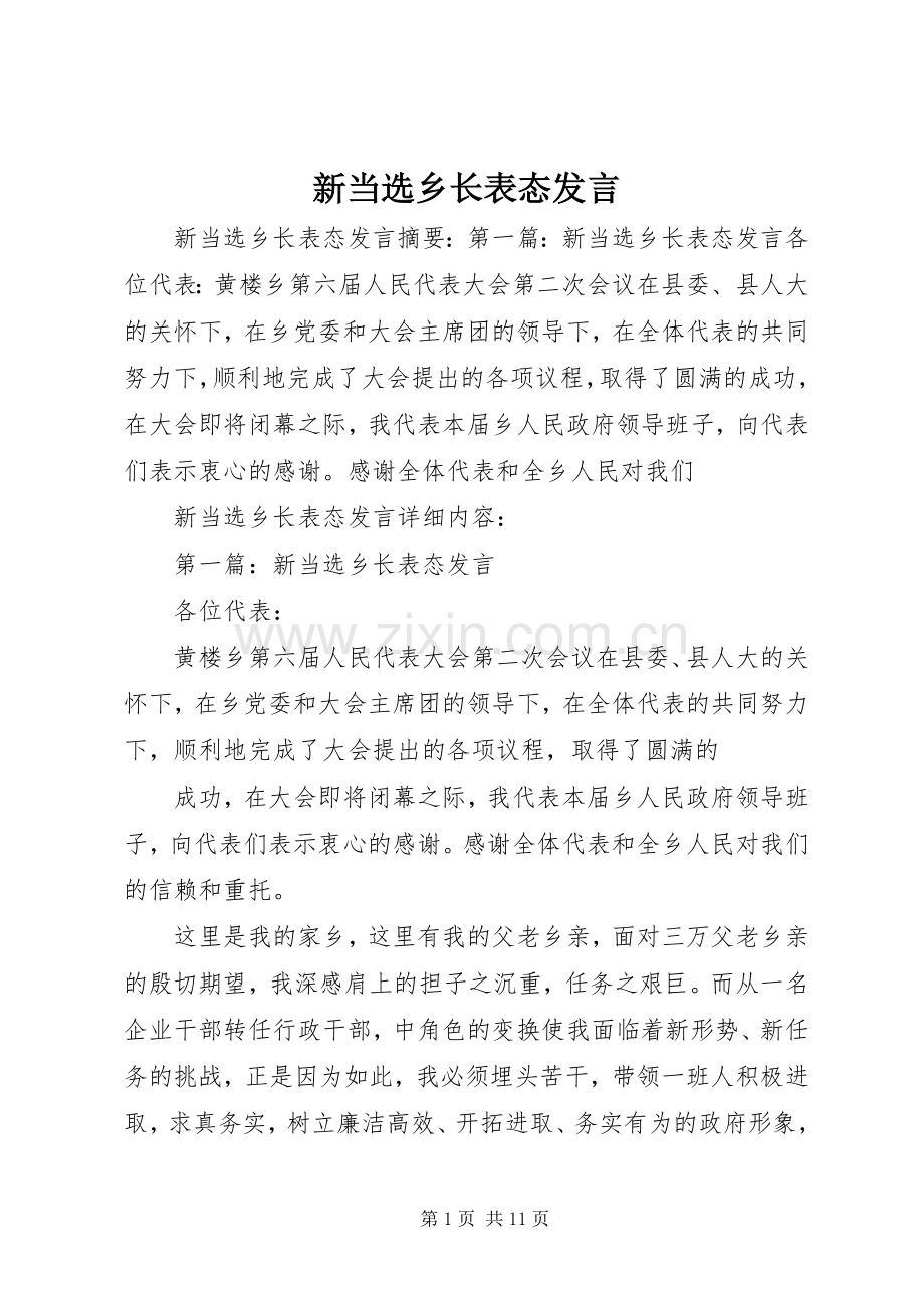 新当选乡长表态发言稿.docx_第1页