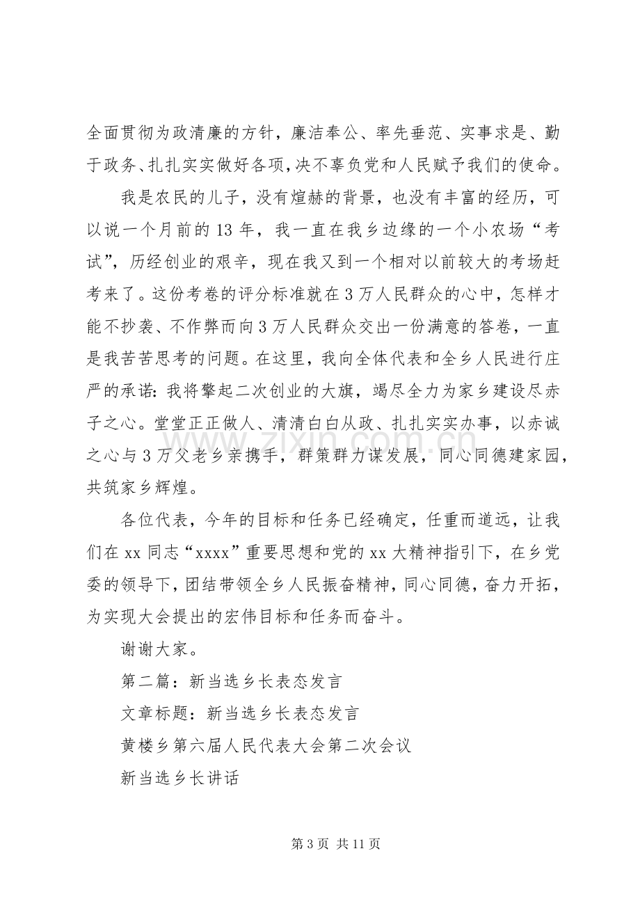 新当选乡长表态发言稿.docx_第3页