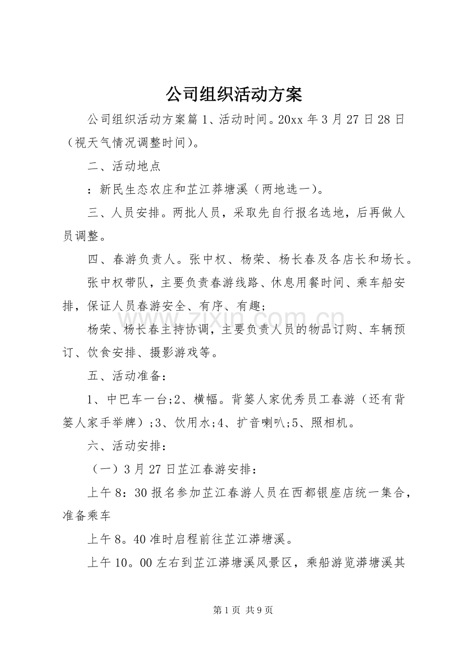 公司组织活动实施方案 .docx_第1页