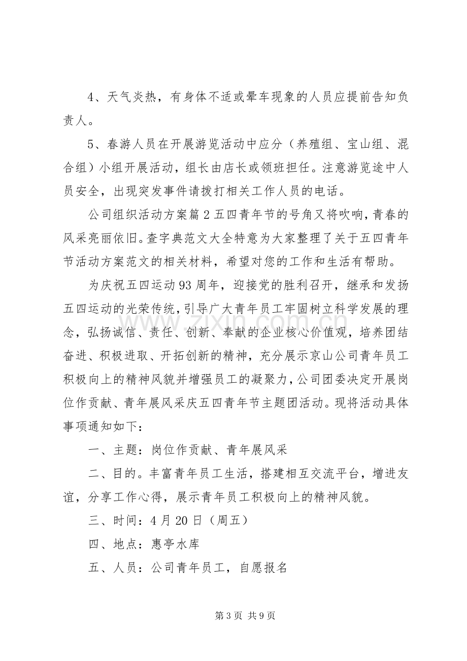 公司组织活动实施方案 .docx_第3页