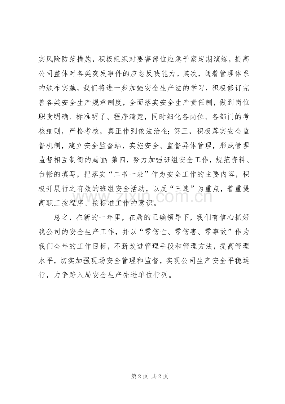 安全生产会议表态发言材料.docx_第2页