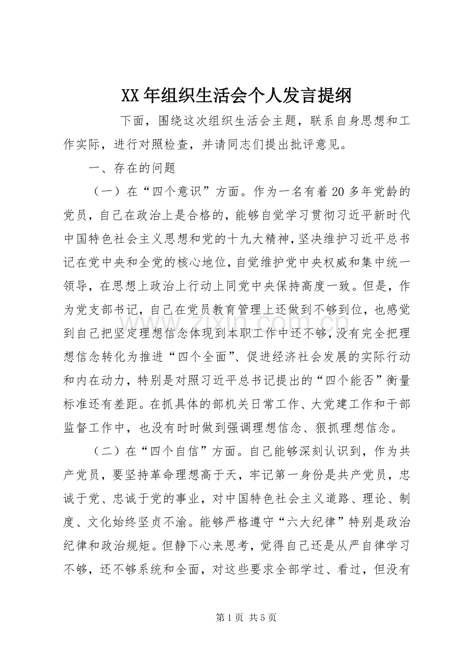 XX年组织生活会个人发言材料提纲.docx_第1页