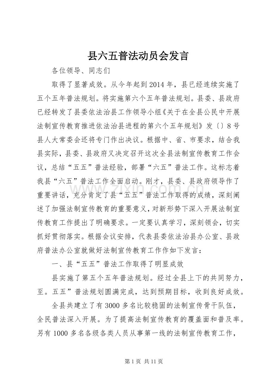 县六五普法动员会发言.docx_第1页