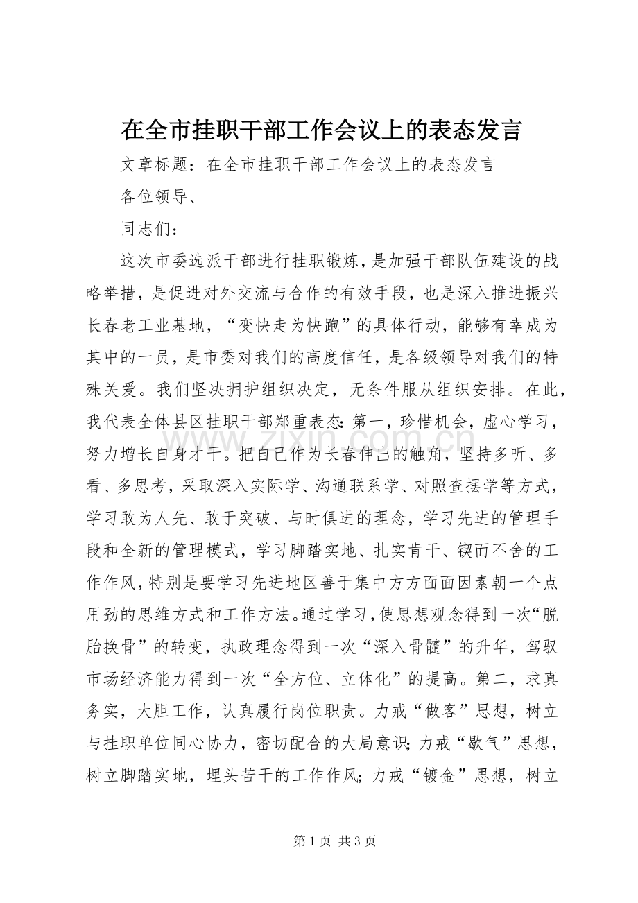 在全市挂职干部工作会议上的表态发言稿.docx_第1页