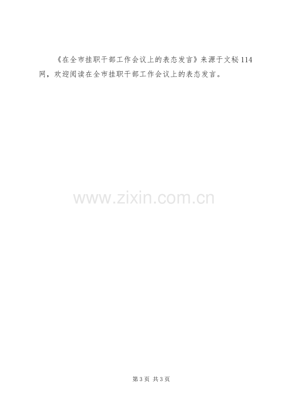 在全市挂职干部工作会议上的表态发言稿.docx_第3页