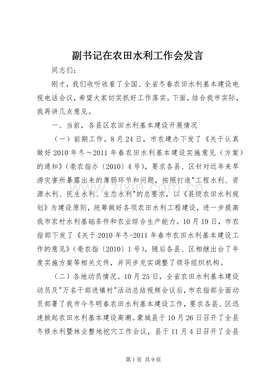 副书记在农田水利工作会发言稿.docx_第1页