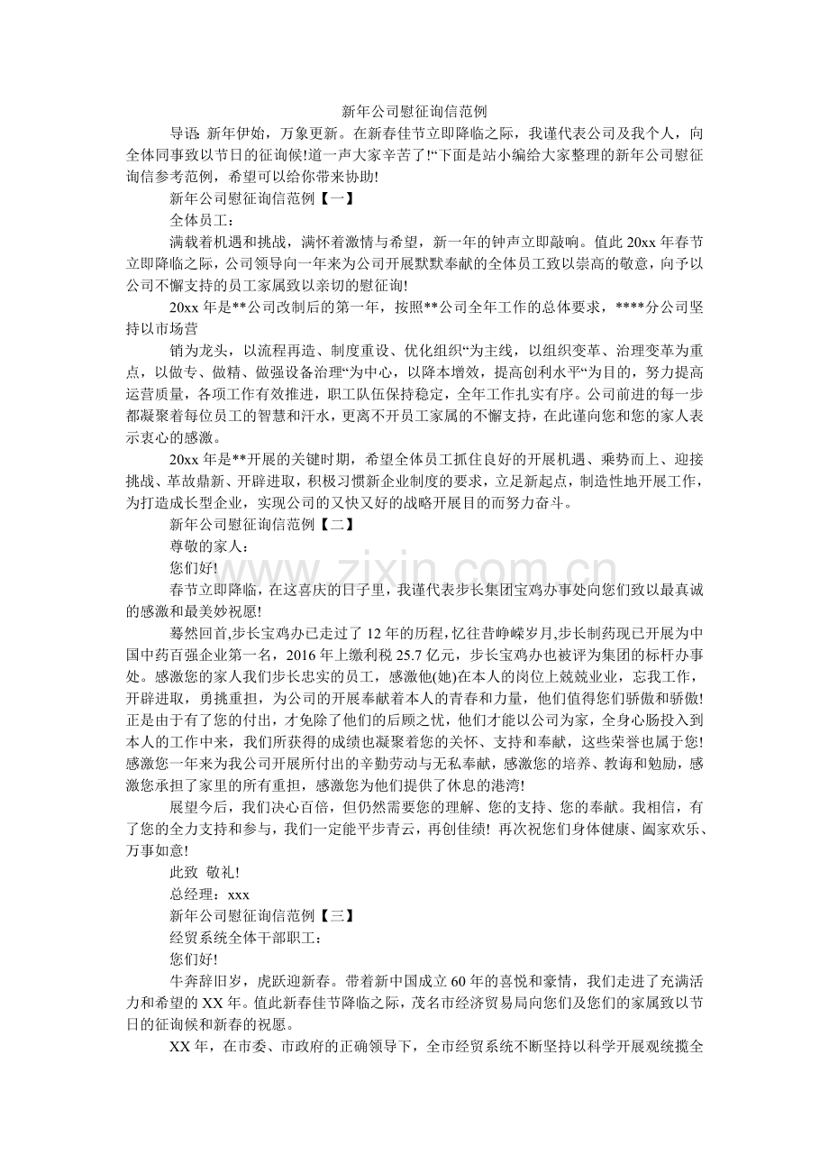 新年公司慰问信范例.doc_第1页