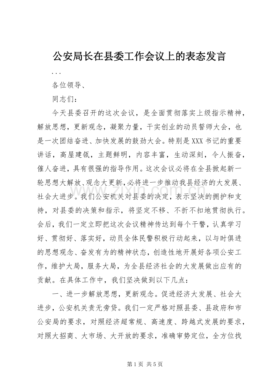 公安局长在县委工作会议上的表态发言稿.docx_第1页