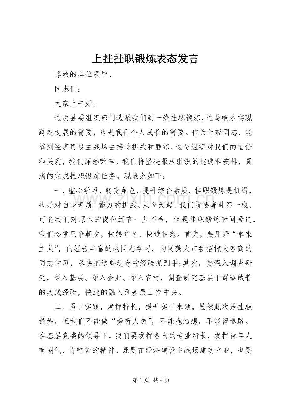 上挂挂职锻炼表态发言稿.docx_第1页