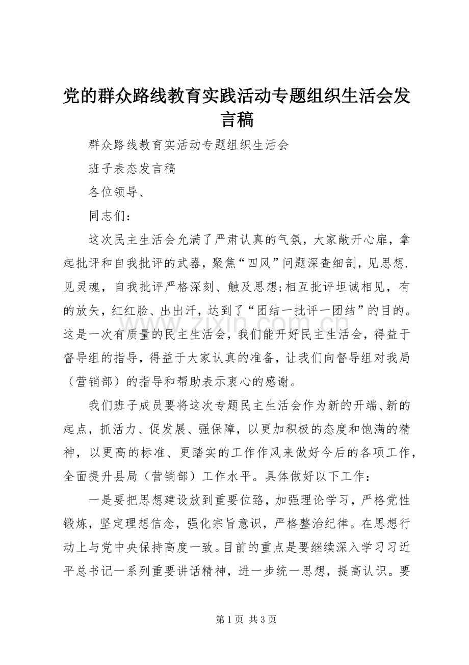 党的群众路线教育实践活动专题组织生活会发言稿范文 (2).docx_第1页