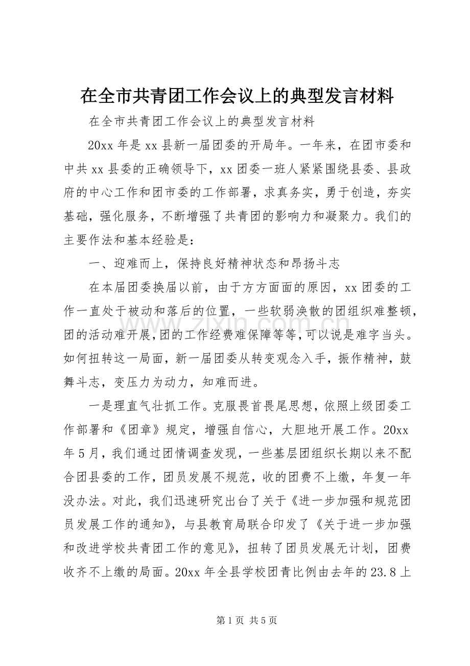 在全市共青团工作会议上的典型发言致辞.docx_第1页