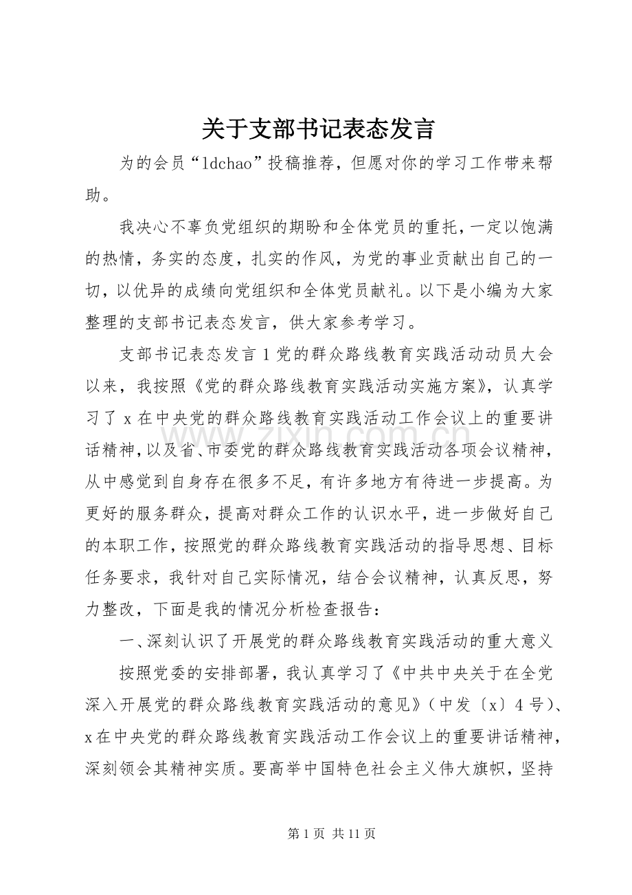 关于支部书记表态发言稿.docx_第1页