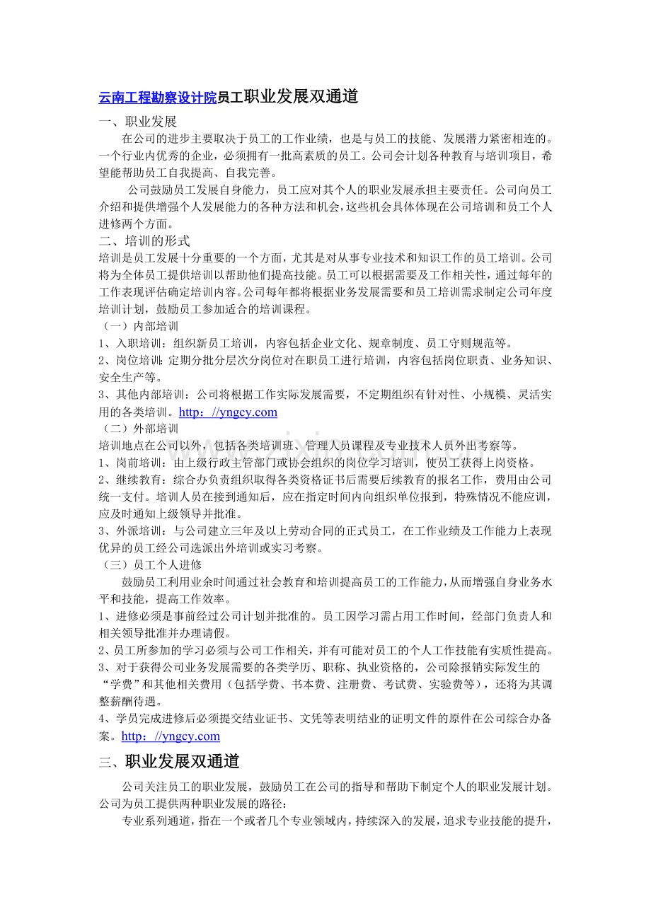 云南工程勘察设计院员工职业发展双通道.doc_第1页