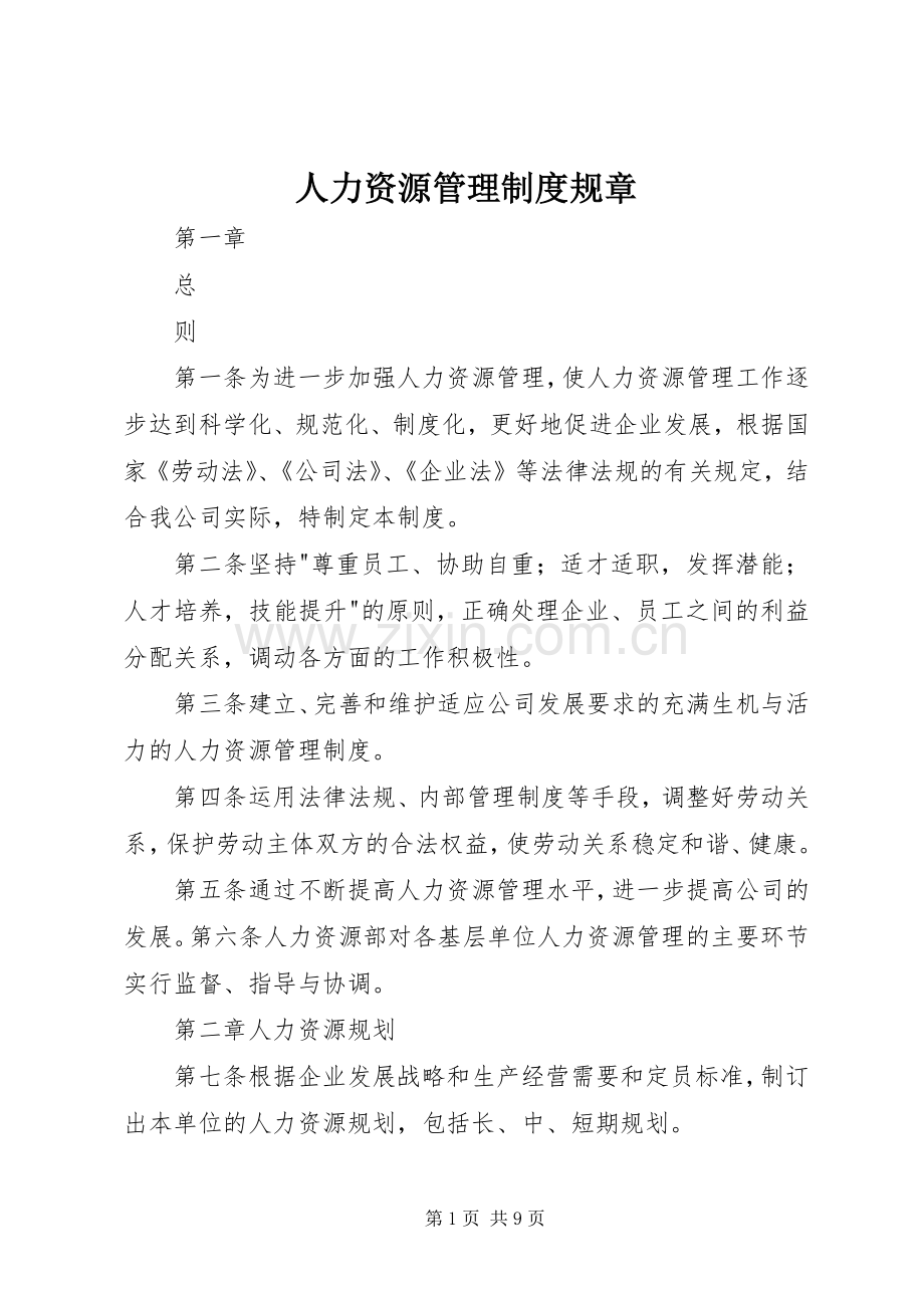 人力资源管理规章制度规章 (2).docx_第1页