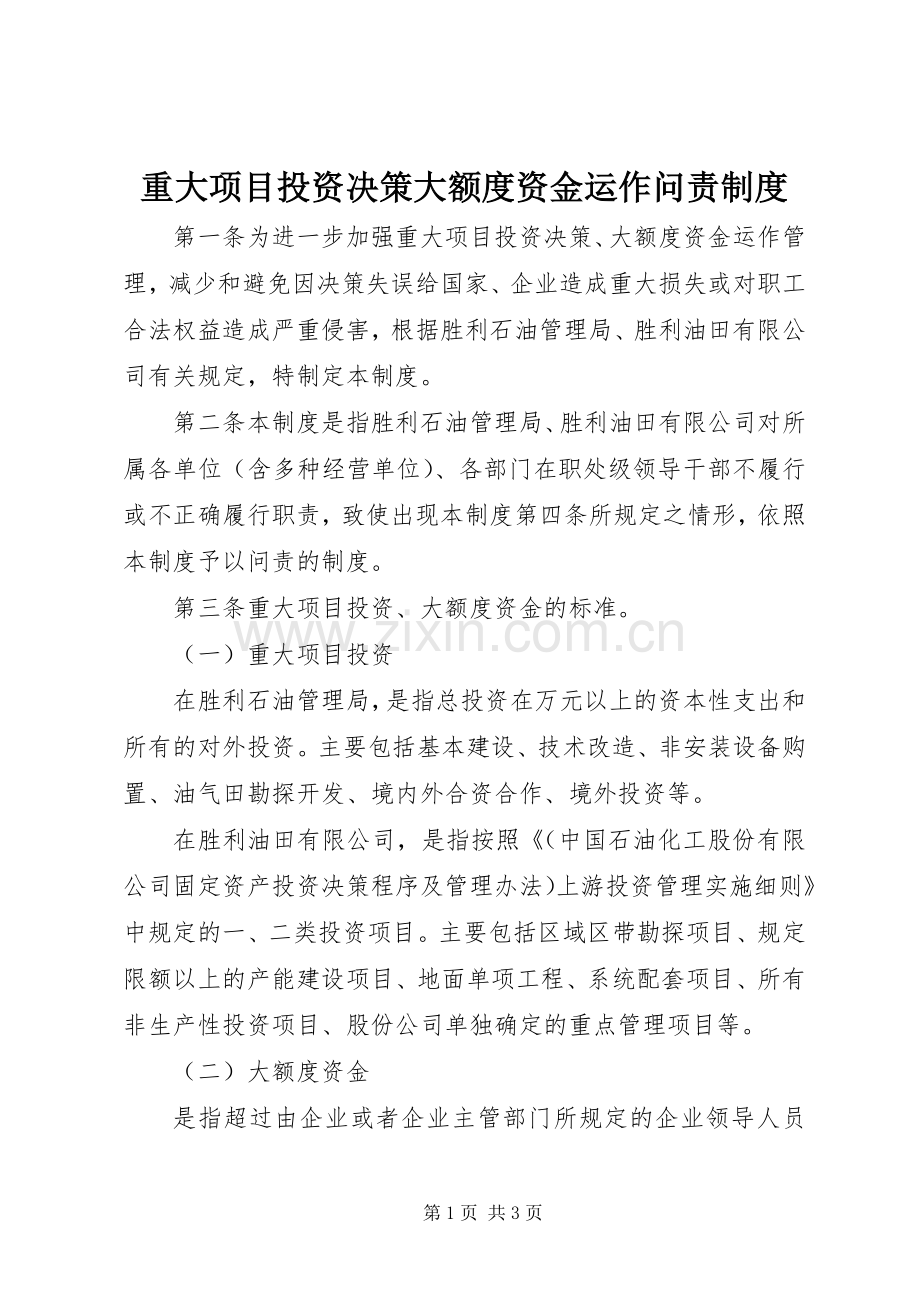 重大项目投资决策大额度资金运作问责规章制度(2).docx_第1页