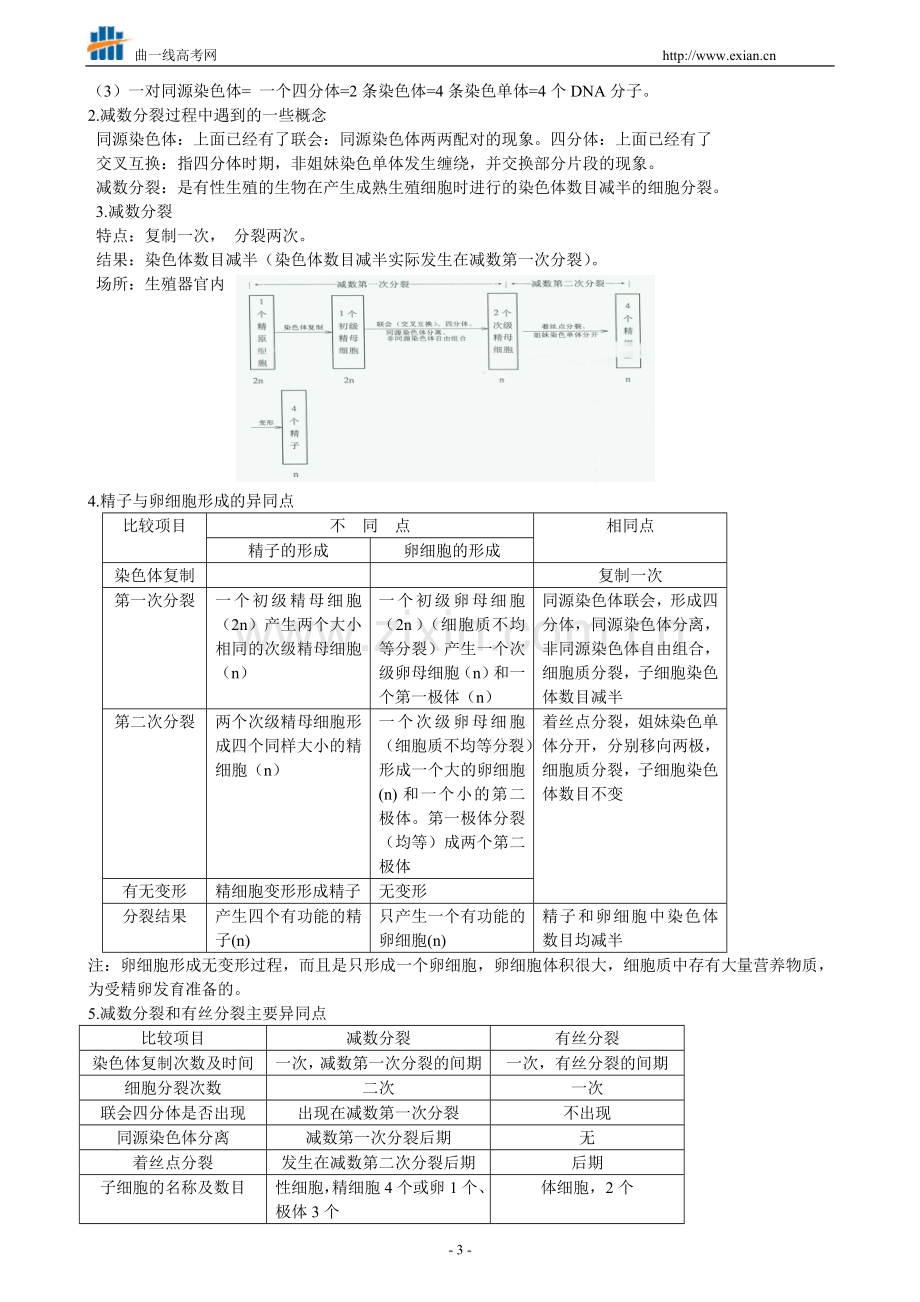 高中生物一轮复习必修2遗传与进化知识点汇编.doc_第3页