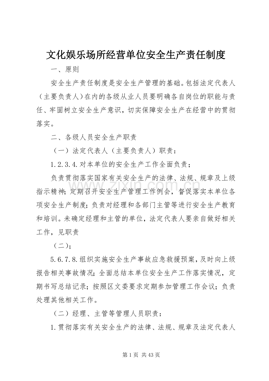 文化娱乐场所经营单位安全生产责任规章制度.docx_第1页