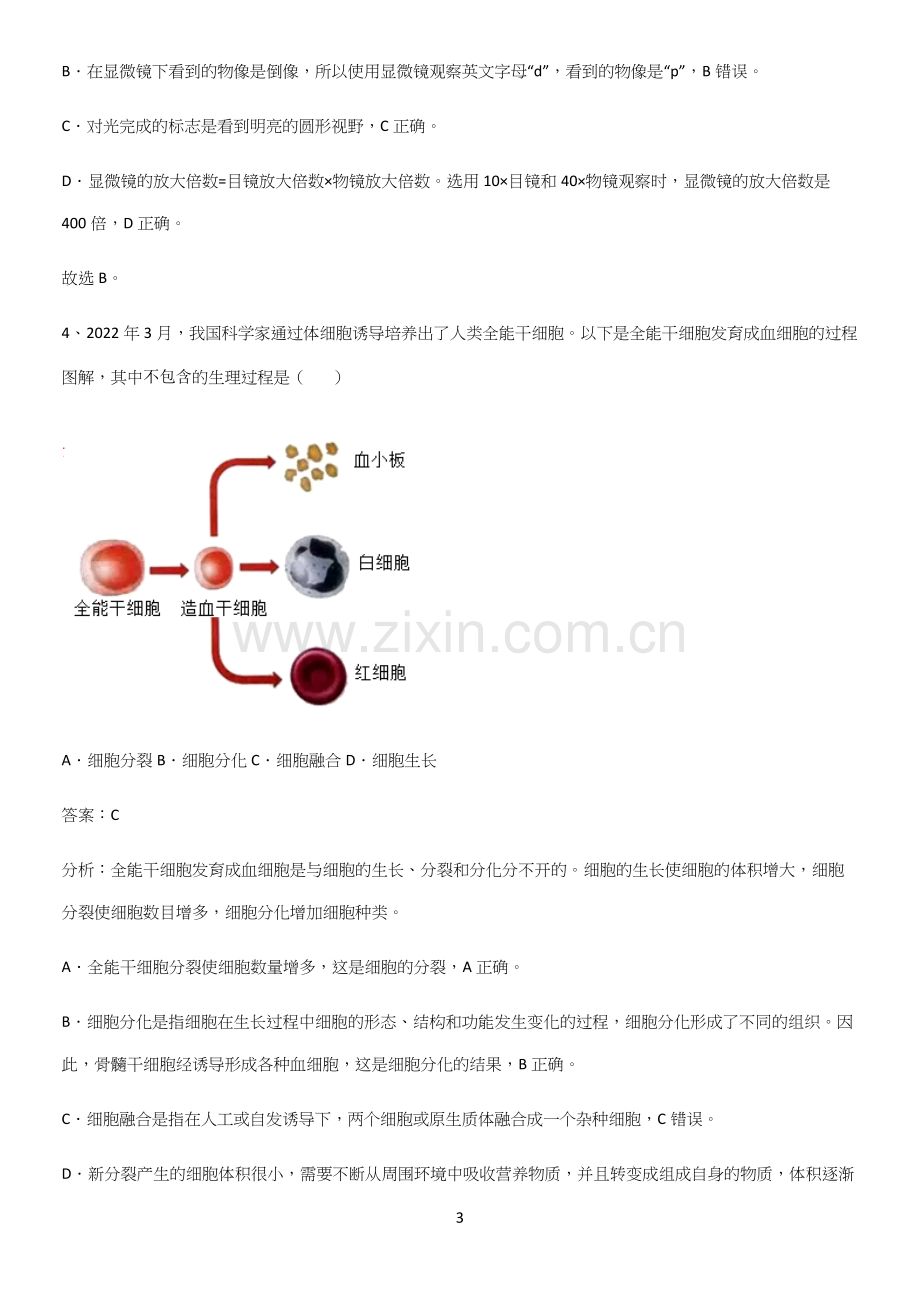 人教版2023初中生物七年级上册第二单元生物体的结构层次基础知识点归纳总结.docx_第3页