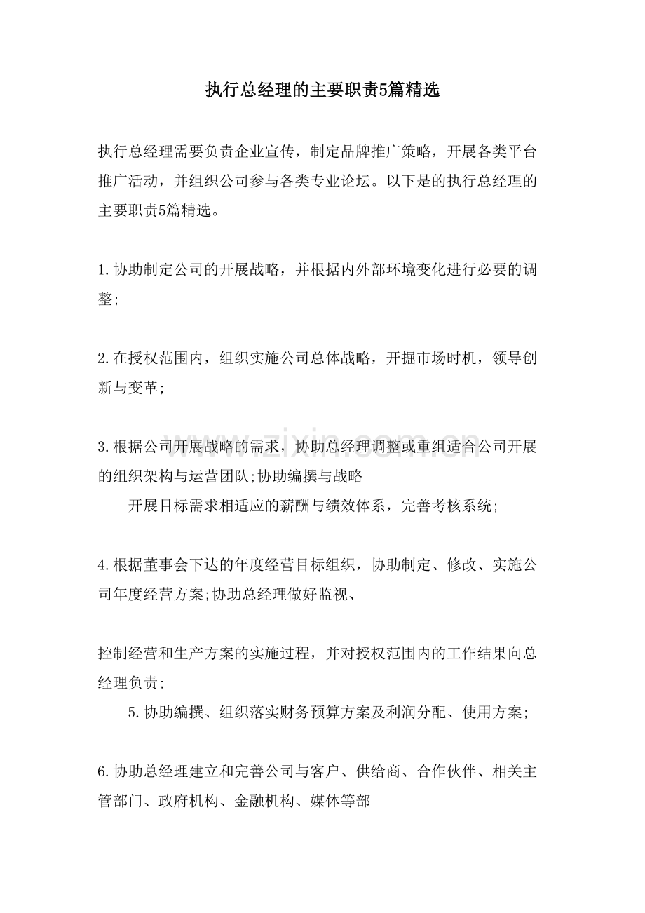 执行总经理的主要职责5篇.doc_第1页