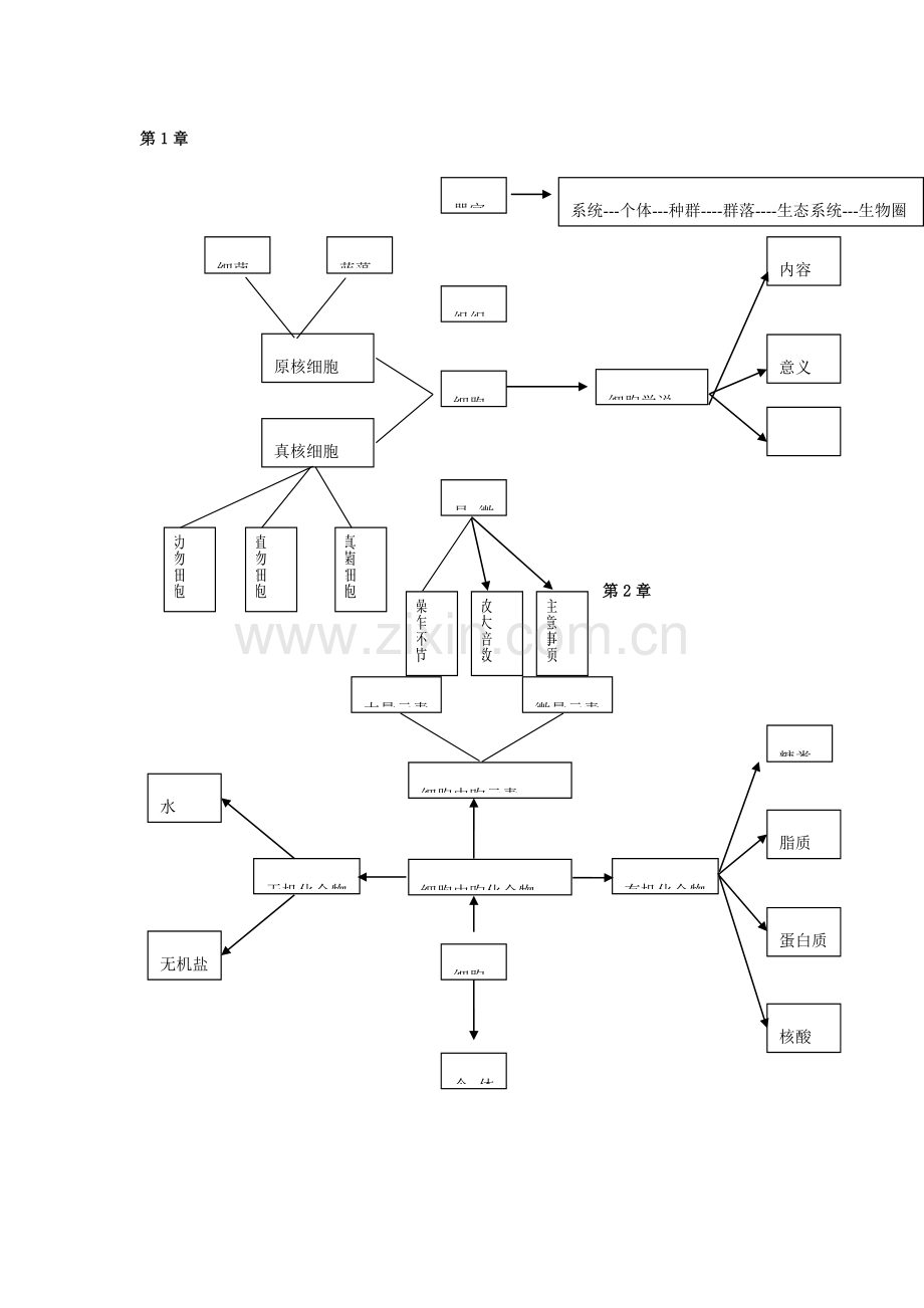 2023年高一生物思维导图.doc_第1页