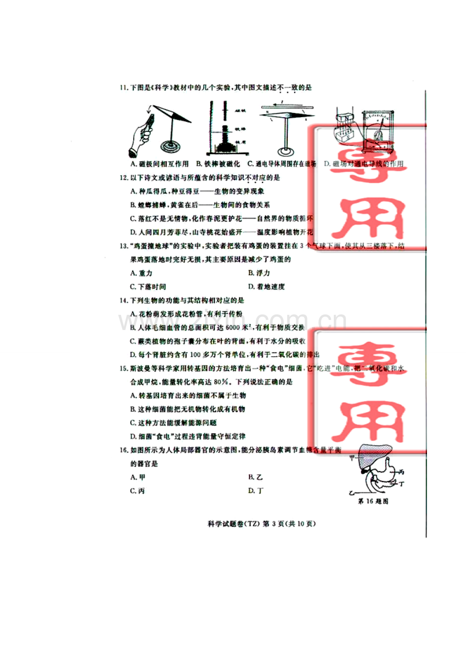 2013年浙江省台州市中考科学真题及答案.doc_第3页