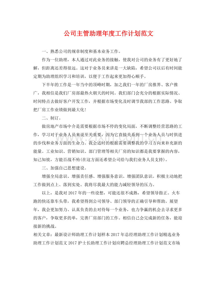 公司主管助理年度工作计划范文 .docx_第1页